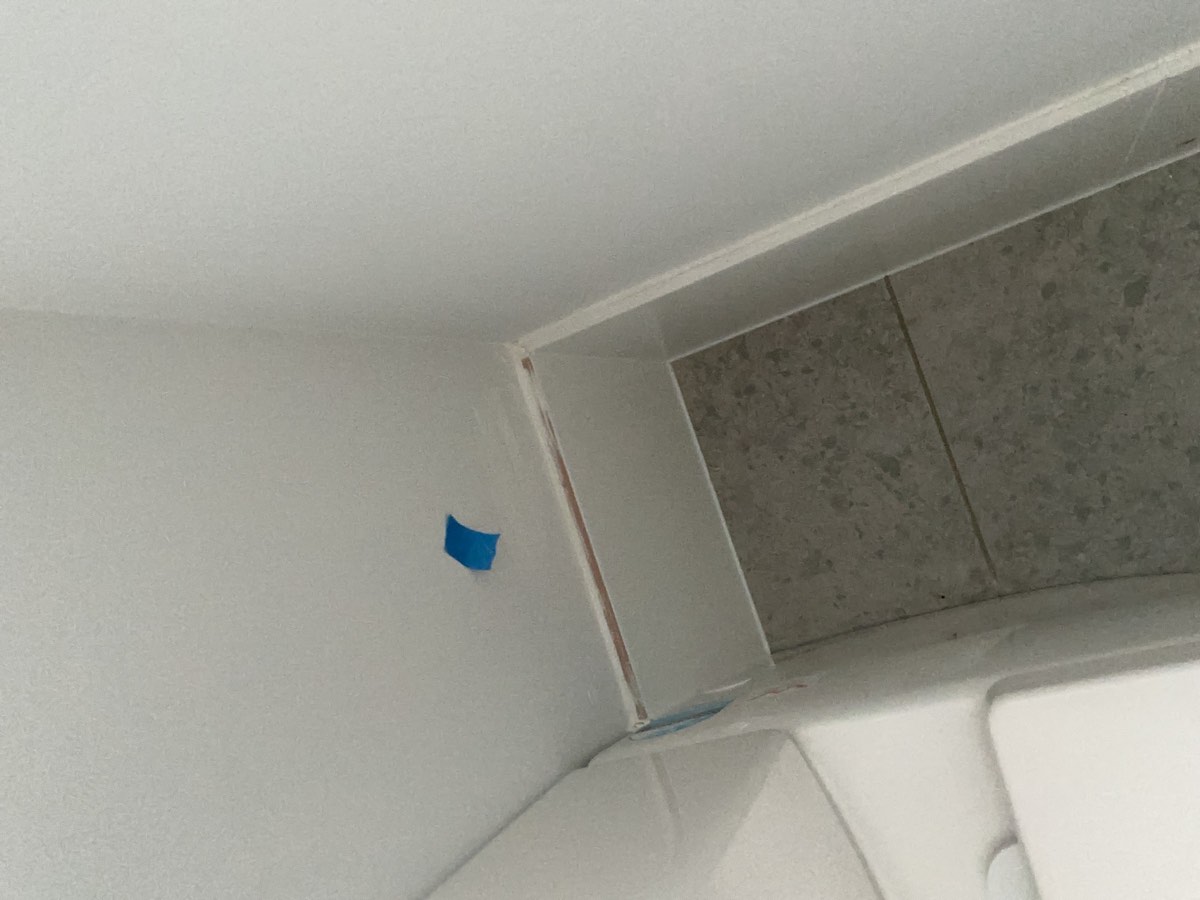 Toilet painting, recorded during a handover inspection in Oran Park